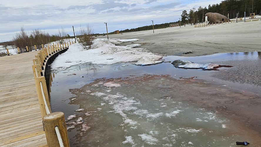 Фото: ВКонтакте | Злой Ноябрянин