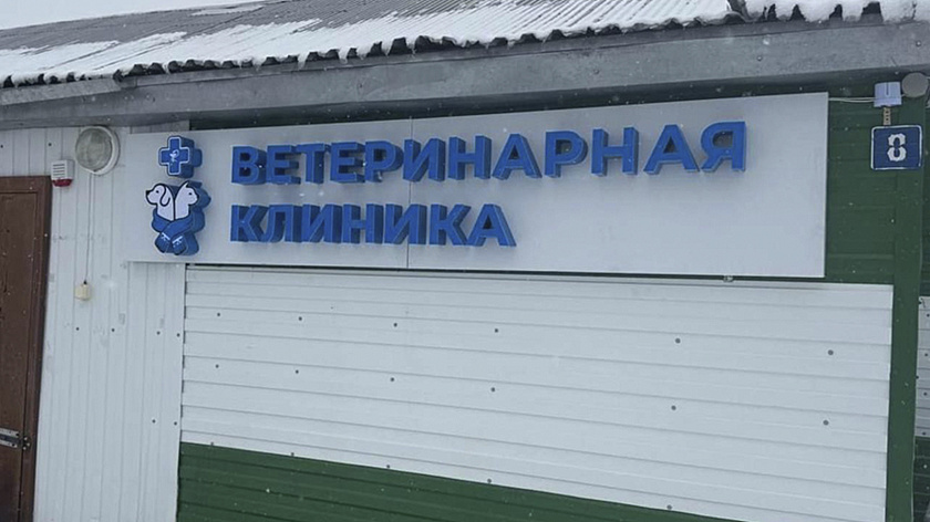 В Аксарке обновили вывеску и логотип ветеринарной клиники